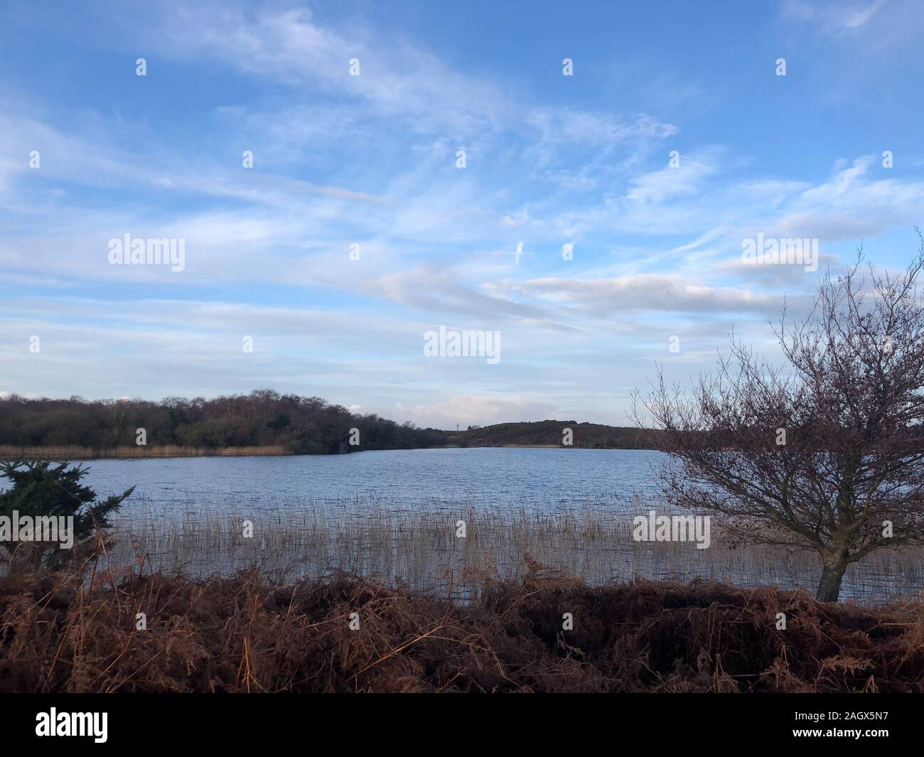 Dopo tutta la pioggia e il vento di una bella giornata nel Dorset Credit Suzanne McGowan / Alamy News Foto Stock