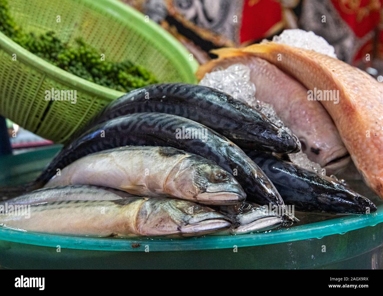 Phsar Chas Vecchio Mercato, Siem Reap Cambogia - pesce fresco in vendita Foto Stock