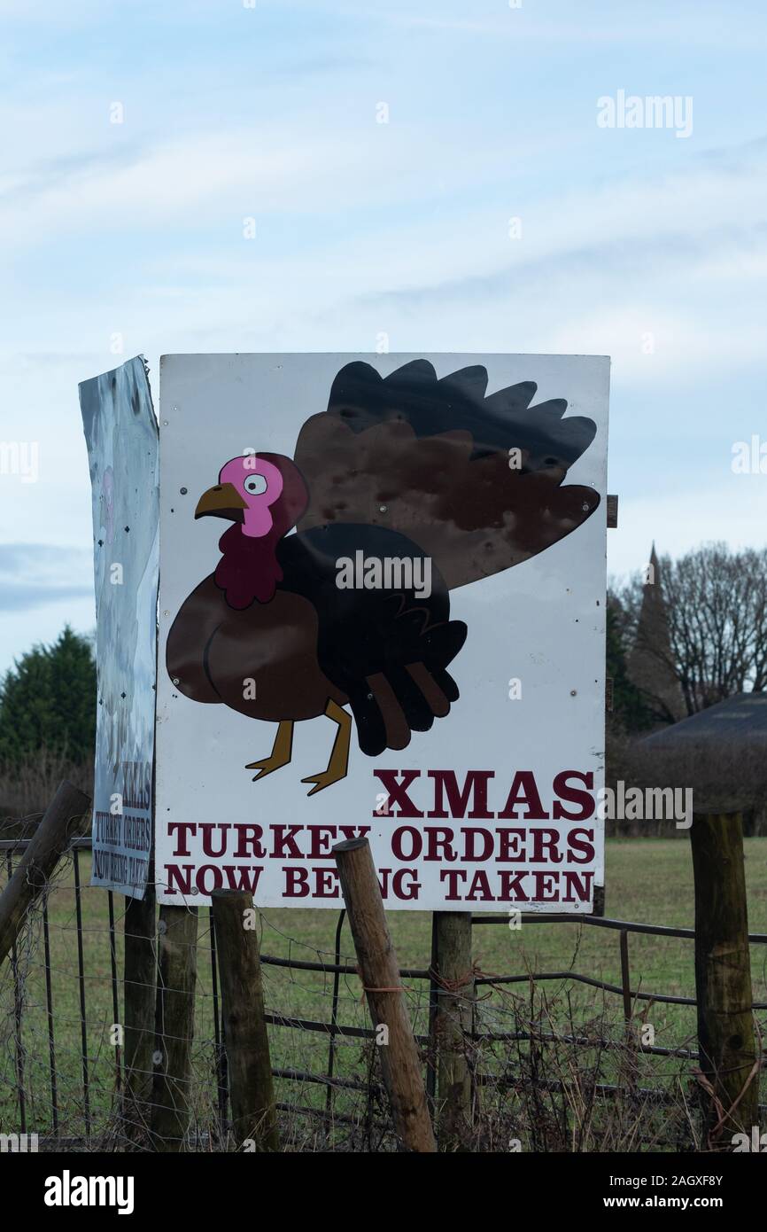 Insegne pubblicitarie i tacchini di Natale per ordine (in vendita) in corrispondenza di una farm REGNO UNITO Foto Stock