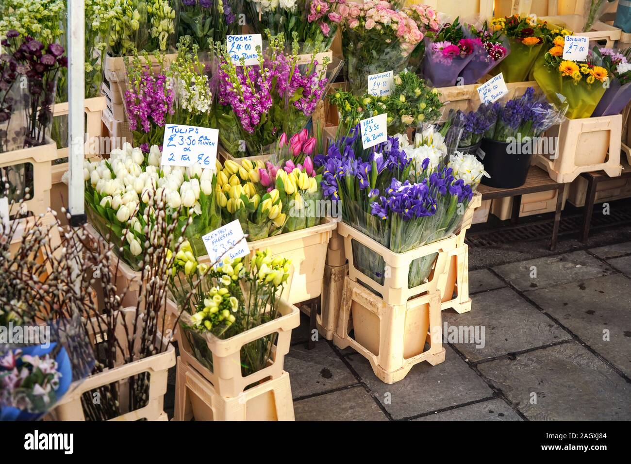 Terrarium in vendita in un negozio di fiori a Londra Regno Unito. Piante  sono cresciute in un contenitore di vetro Foto stock - Alamy