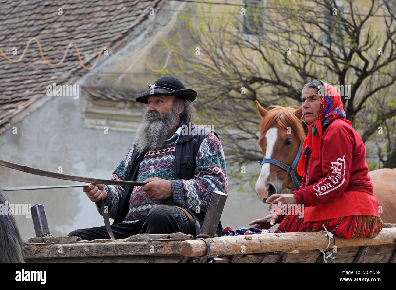 Gipsy family su un cavallo wago, Romania Foto Stock