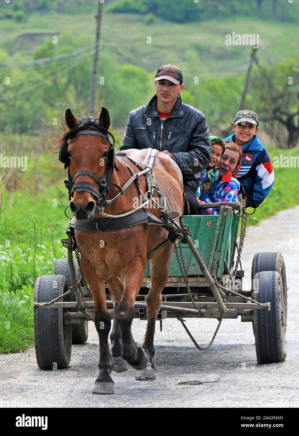 Giovani Gipsy family su un carro di cavalli, Romania Foto Stock
