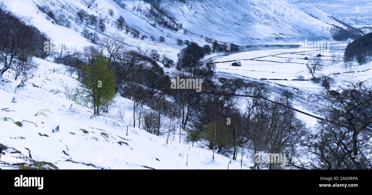 Neve di primavera in Swaledale superiore, Yorkshire Dales, Inghilterra Foto Stock
