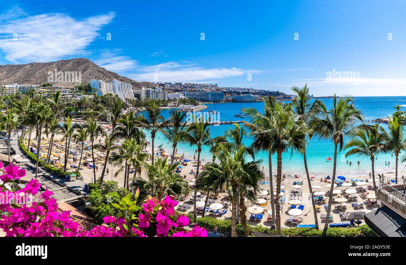 Paesaggio con Anfi beach e resort, Gran Canaria, Spagna Foto Stock