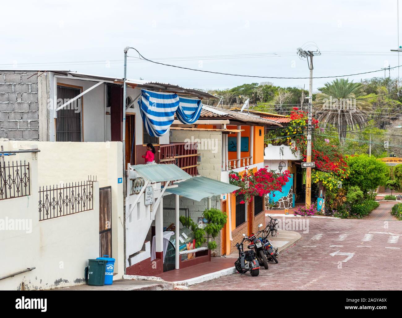 Isola di SANTA CRUZ, GALAPAGOS ISLAND - luglio 2, 2019: vista della strada di città nel settore privato Foto Stock