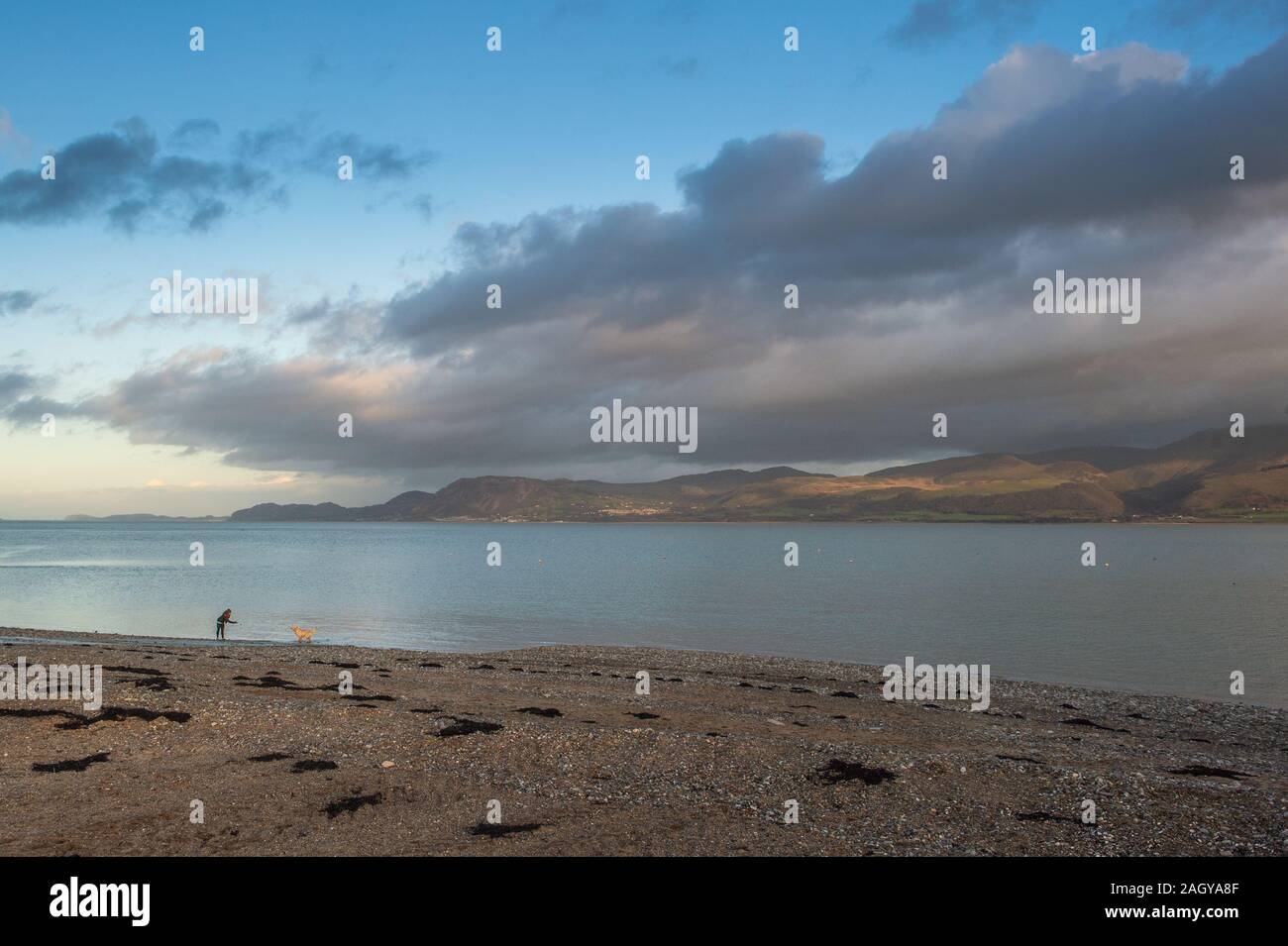 Una donna cammina il suo cane sul lungomare a Beaumaris guardando attraverso Conwy Bay verso Manchester, Penmaenmar e Great Orme alla testa. Foto Stock