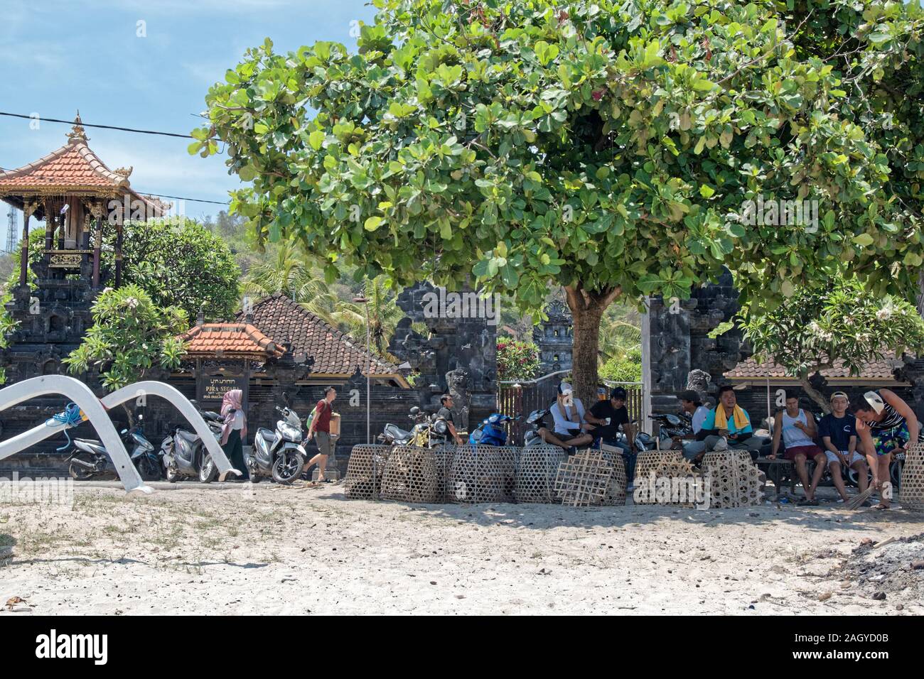 Un gruppo di uomini seduti sulla spiaggia di Bali sotto tree corone guardando i galli Foto Stock