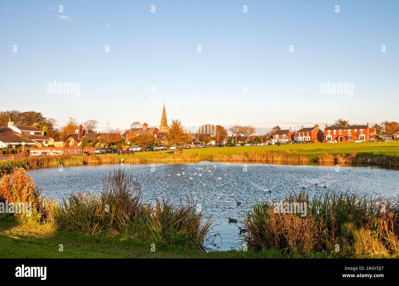 Autunno luce della sera su un Villaggio Inglese verde e Duck Pond a Wrea Green Lancashire England Regno Unito Foto Stock
