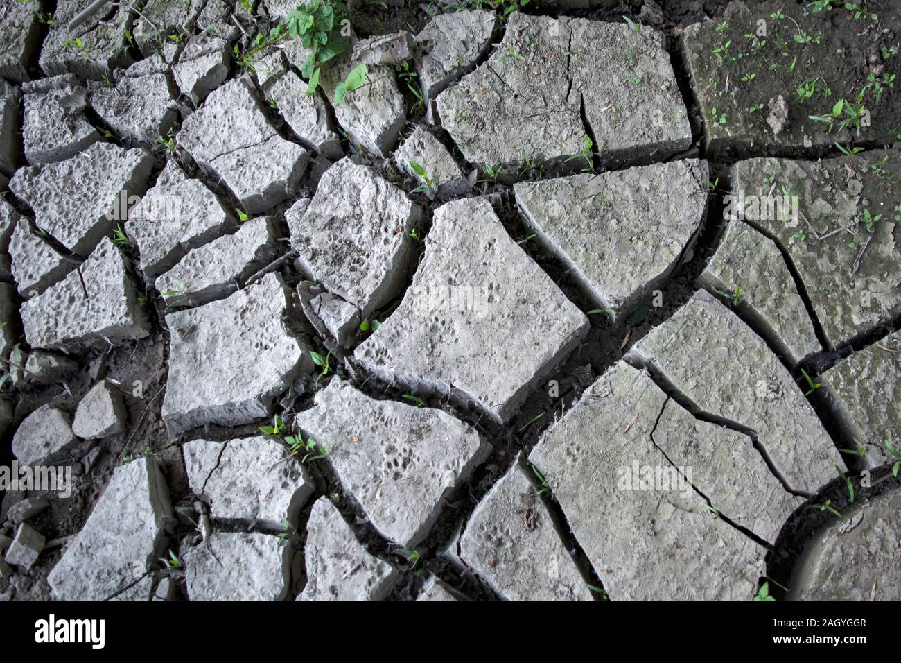 Una foto del cambiamento climatico sul pianeta Terra. Sun-terra cotta è vicino al lago di evaporazione. Piante di erba e lottano per sopravvivere. Foto Stock