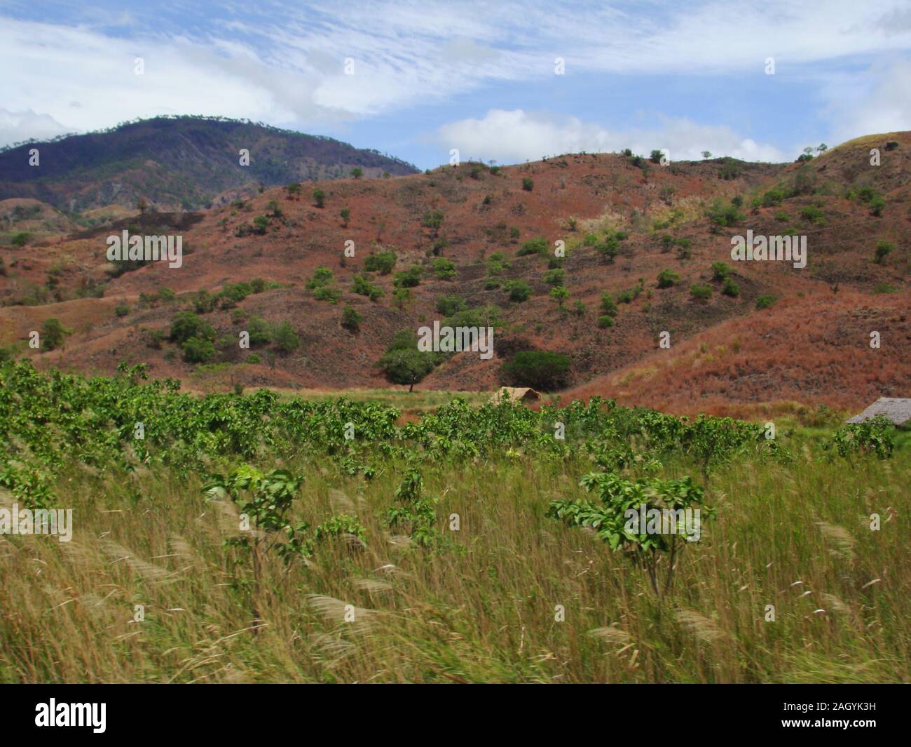 Colline in Mindoro island (Filippine), che mostra segni di eccessiva logging, che aumenta il rischio di erosione e perdita di suolo fertile Foto Stock