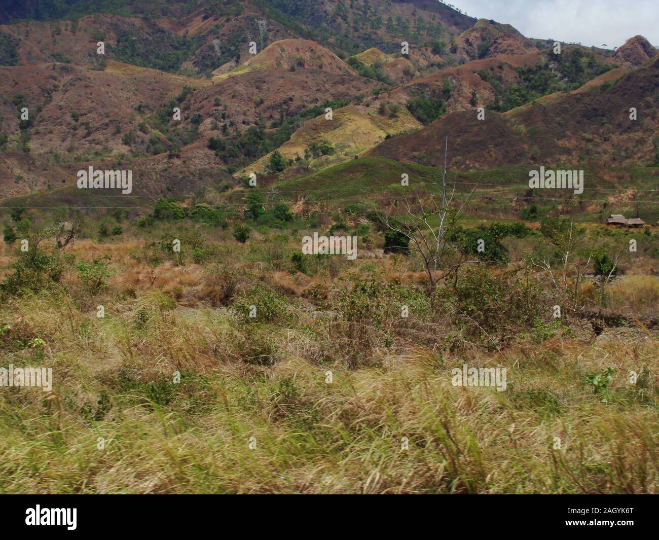 Colline in Mindoro island (Filippine), che mostra segni di eccessiva logging, che aumenta il rischio di erosione e perdita di suolo fertile Foto Stock