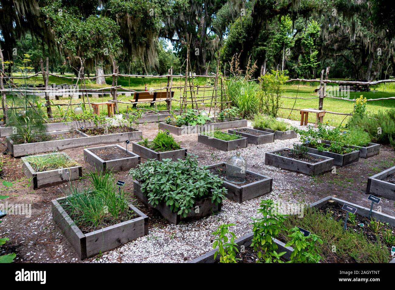 Un tipico autosufficienti orto di erbe aromatiche Foto Stock