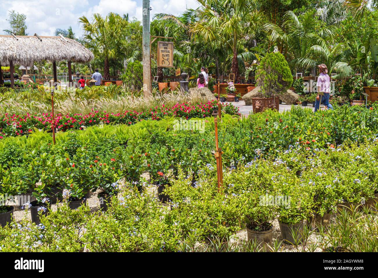Fort ft. Lauderdale Florida,Tropical Touch Garden Center,vivaio,piante,vendita case,FL100515226 Foto Stock
