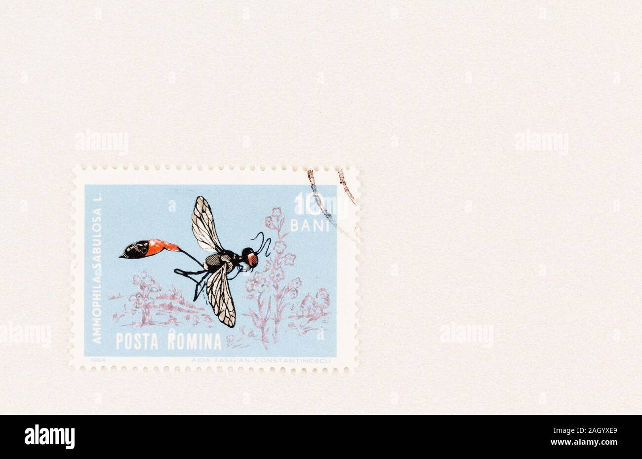 Close up utilizzato Romanian francobollo rosso con sabbia nastrati wasp, Ammophila Sabulosa e copiare lo spazio. Scott 1616. Foto Stock