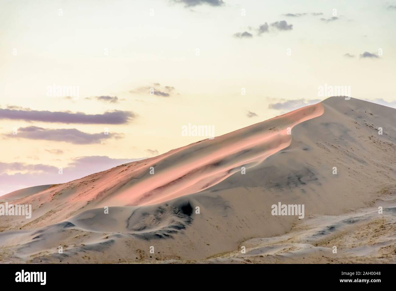 Luce dorata Kelso dune di sabbia al tramonto nel deserto di Mojave, Mojave National Preserve, CALIFORNIA, STATI UNITI D'AMERICA Foto Stock