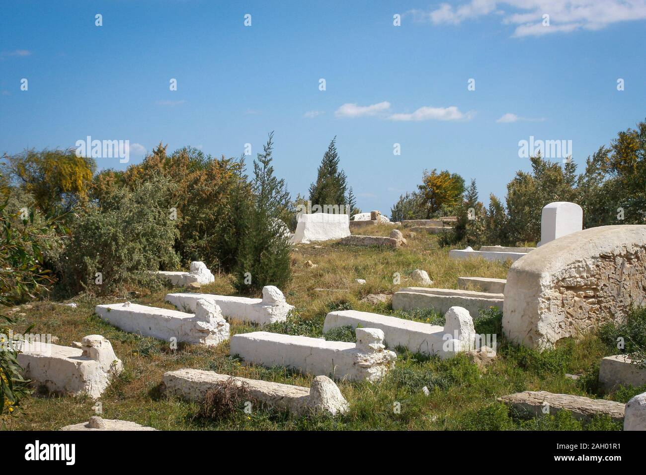 Un vecchio cimitero con tombe bianche tra gli alberi in una giornata calda e soleggiata a Hergla, Tunisia Foto Stock