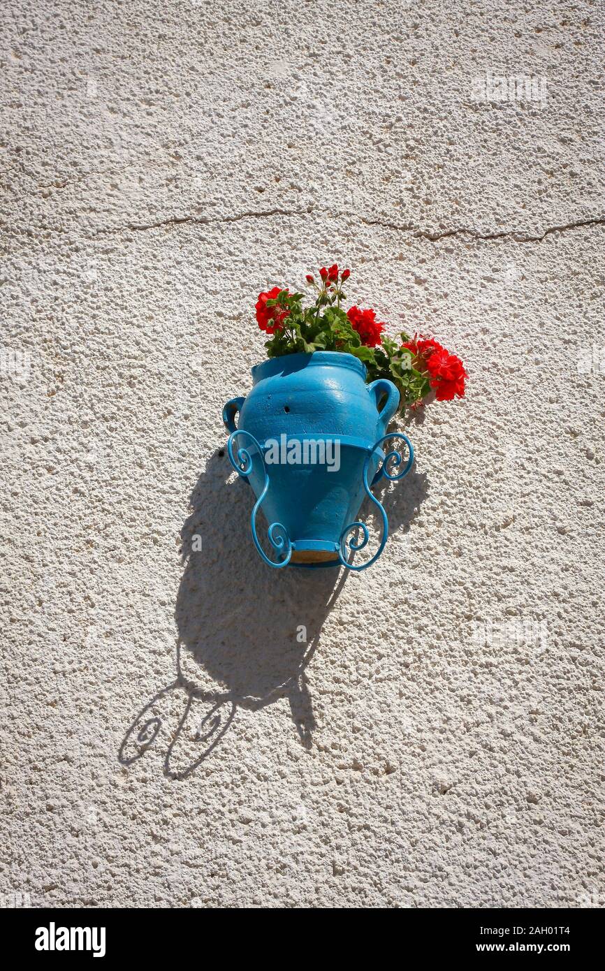 Fiori rossi in una pentola blu appesa sulla parete bianca in una giornata di sole a Hergla, Tunisia Foto Stock