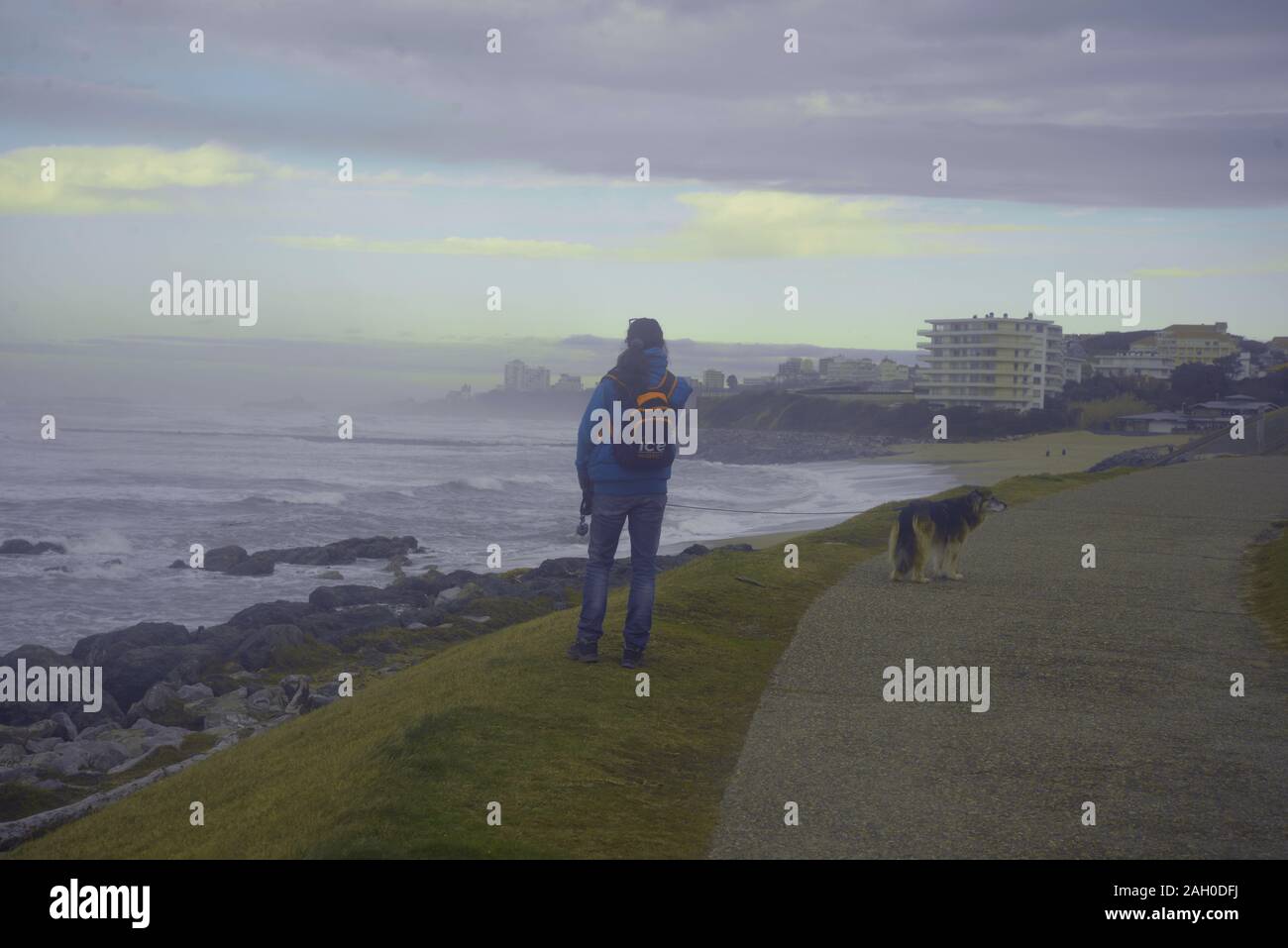 Un dog walker guardando al mare nel sud-ovest della Francia, pasakdek Foto Stock