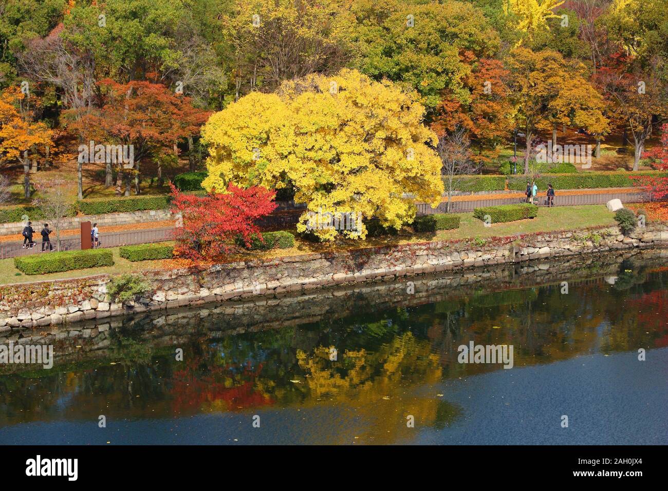 Giapponese fogliame di autunno. Osaka, Giappone - Castello vista parco con alberi d'autunno. Foto Stock