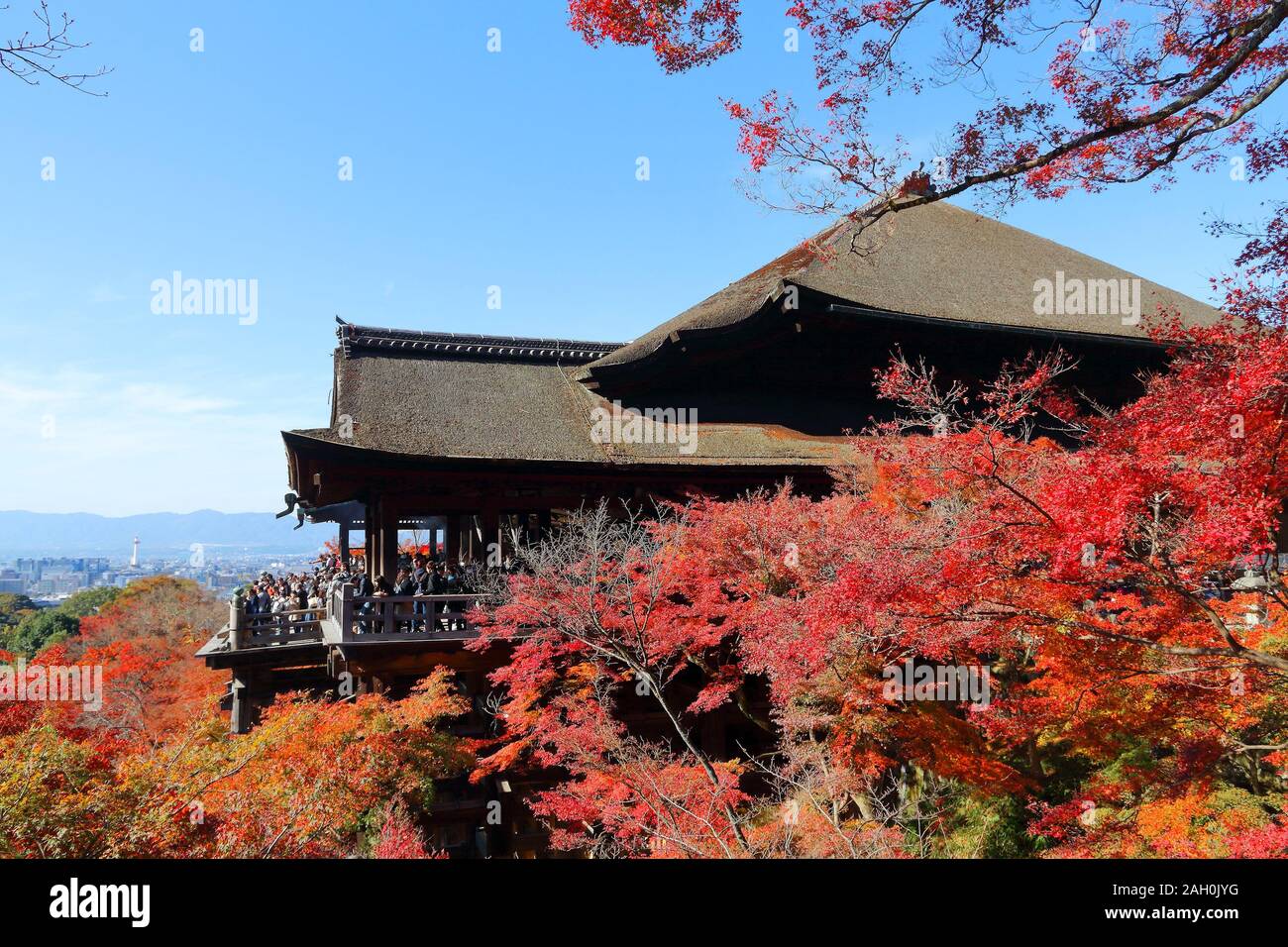 Punto di riferimento di Kyoto, Giappone - Kiyomizu-dera Tempio. Autunno in Giappone. Foto Stock