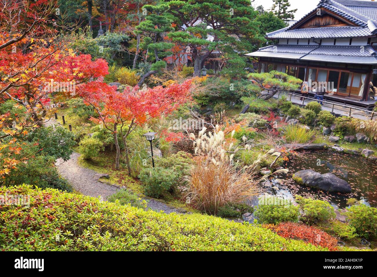 Nara, Giappone. Foglie di autunno in un giardino giapponese. Yoshikien Garden. Foto Stock