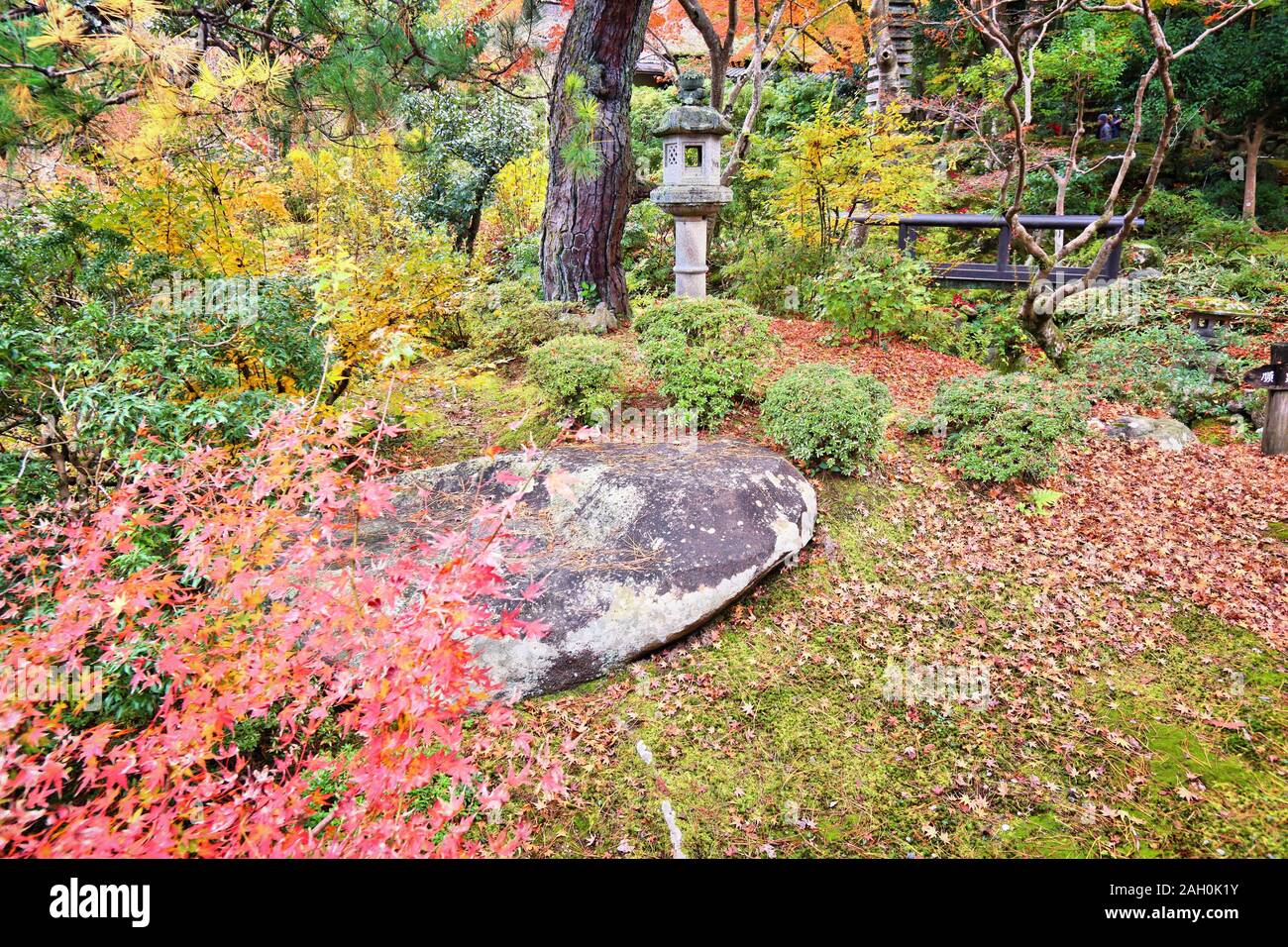 Nara, Giappone. Foglie di autunno nel giardino giapponese. Yoshikien Garden. Foto Stock