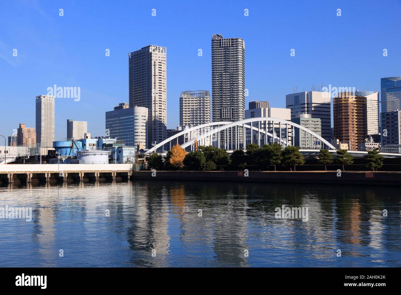 Tokyo skyline della città - moderni quartieri residenziali con alti edifici di appartamenti a Kachidoki. Foto Stock