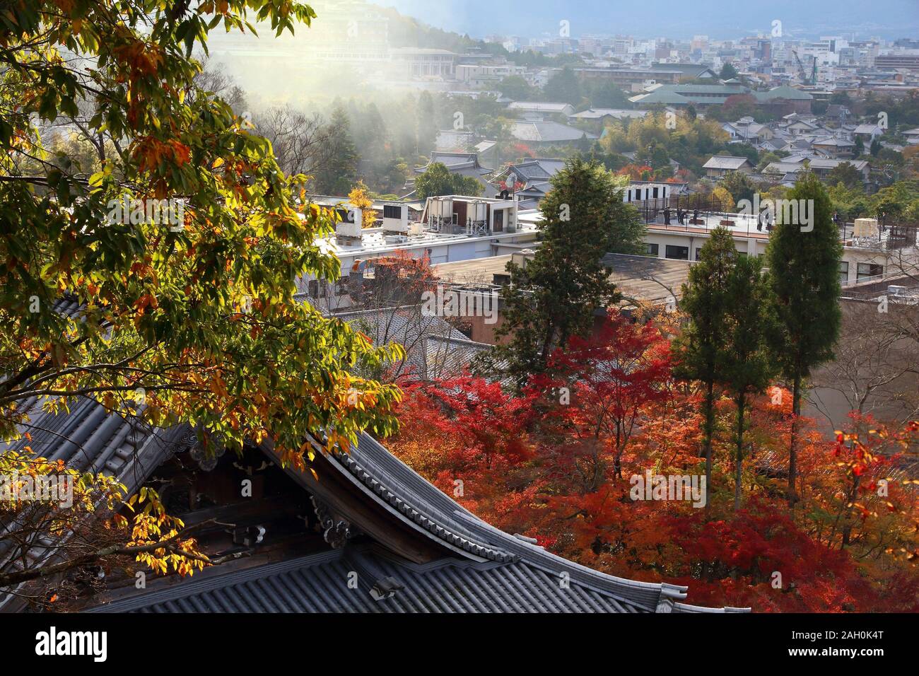 In Giappone i punti di riferimento. Eikando tempio di Kyoto. Foglie di autunno in Giappone. Foto Stock
