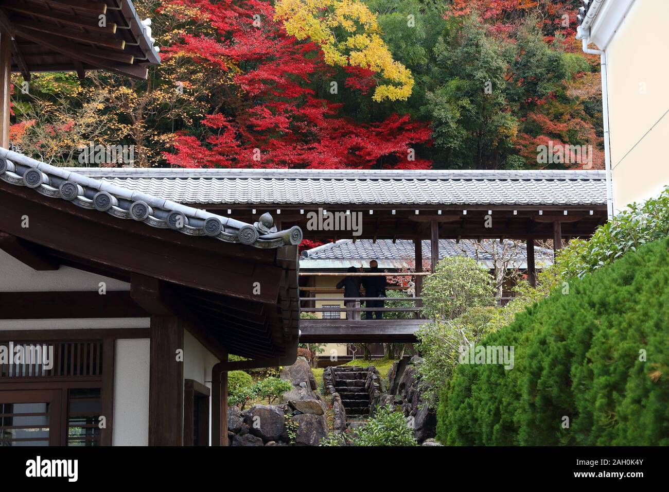 Kyoto, Giappone - Foglie di autunno a Eikando Zenrinji tempio. Foto Stock