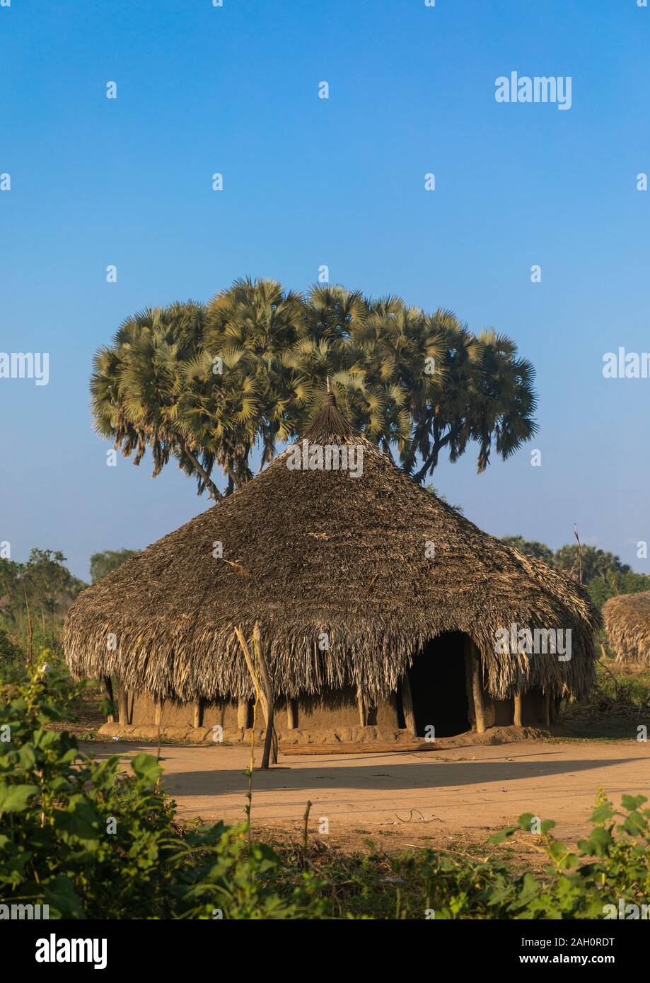 Tradizionale tribù Mundari villaggio con doum palme, Equatoria centrale, Terekeka, sud Sudan Foto Stock