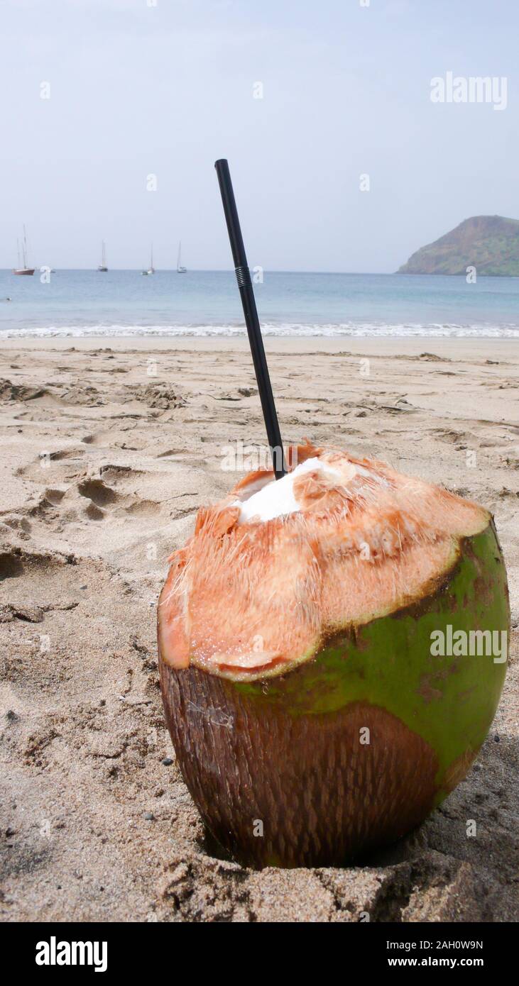 CA perdere fino di raccolti di fresco e preparato verde drink di cocco su una spiaggia tropicale Foto Stock