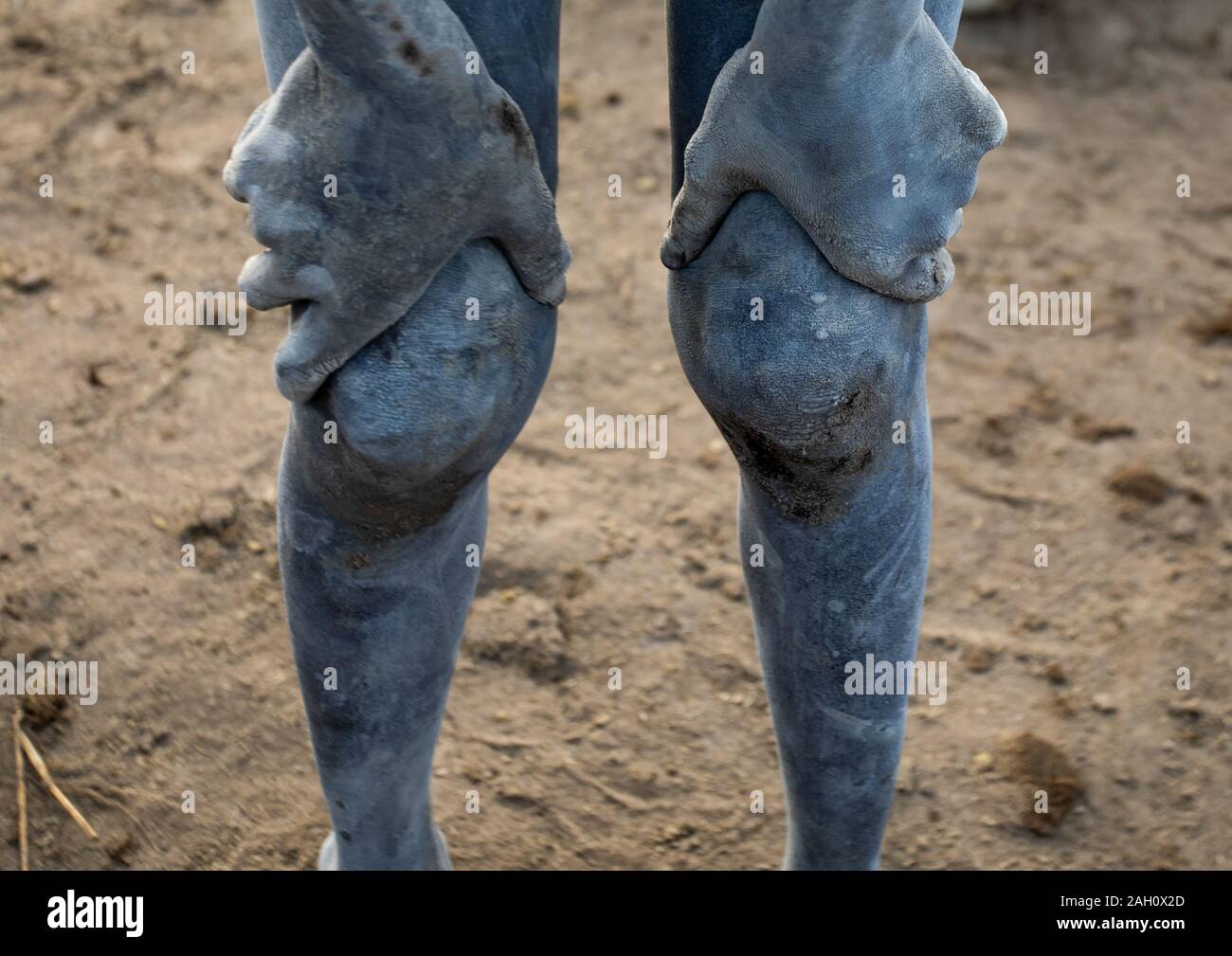 Tribù Mundari boy ginocchio coperto di cenere, Equatoria centrale, Terekeka, sud Sudan Foto Stock