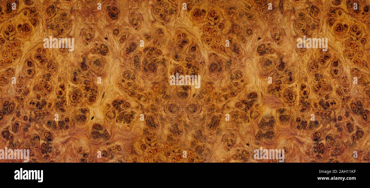 Natura afzelia burl a strisce di legno, legno esotico bellissimo modello per l'artigianato o arte astratta sfondo texture Foto Stock