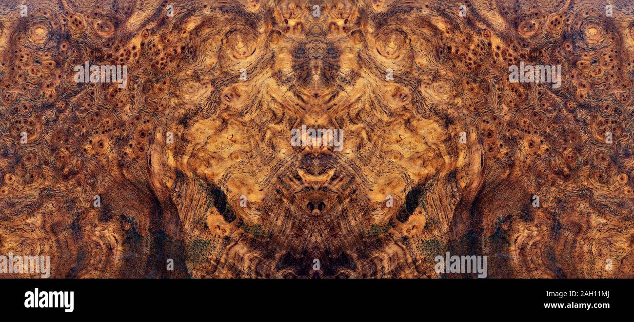 Burl reale a strisce di legno per stampe di foto di arredamento, di legno esotico bellissimo modello per l'artigianato o arte astratta sfondo texture Foto Stock