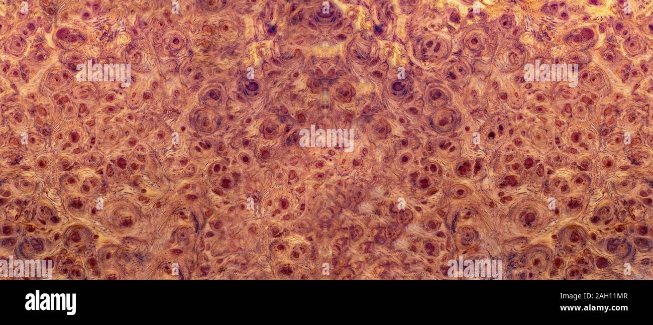 Natura afzelia burl a strisce di legno di legno esotico bellissimo modello per l'artigianato o arte astratta texture panoramica di sfondo Foto Stock