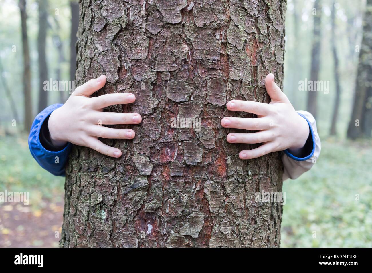 Little Boy è abbracciando un albero Foto Stock