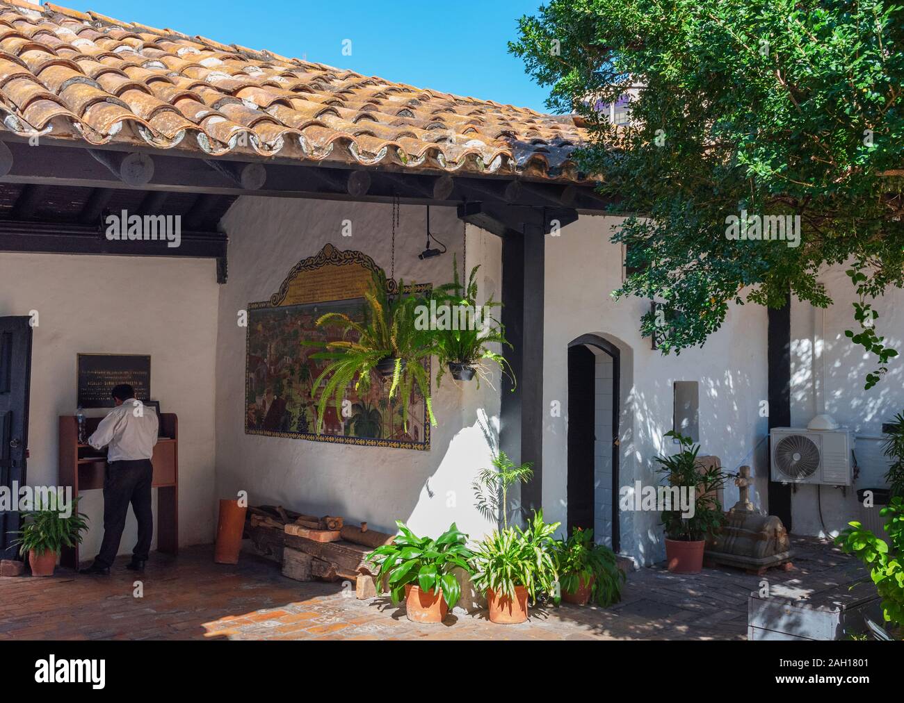 Cortile privato con piante in Asunción, Paraguay Foto Stock