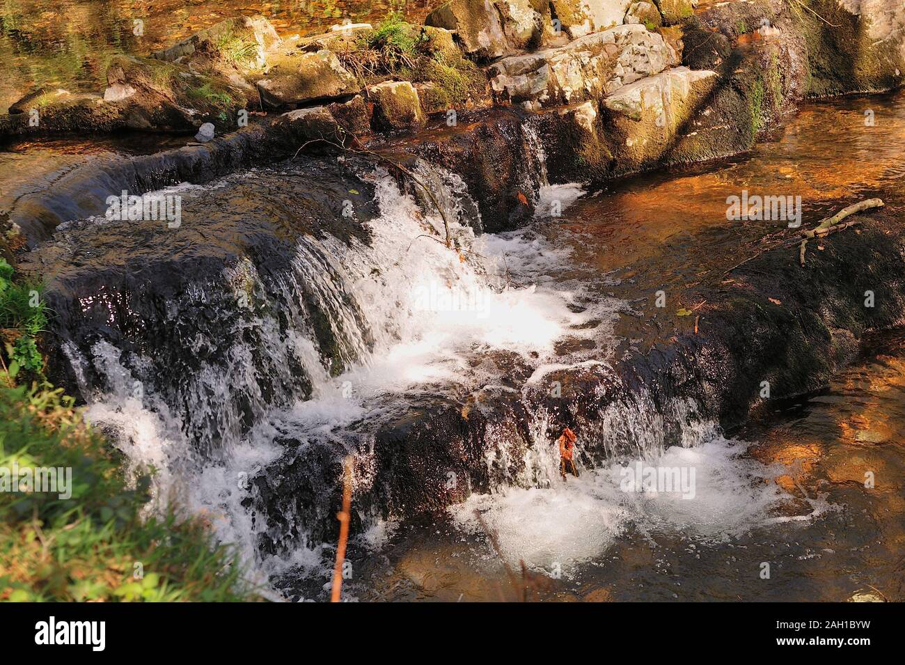 Rapids su acqua chiara creek. Foto Stock