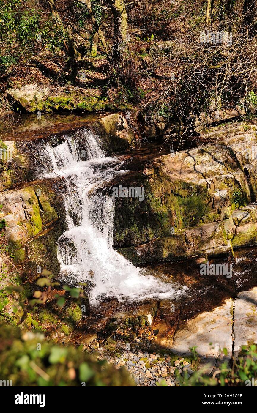 Rapids su acqua chiara creek. Foto Stock