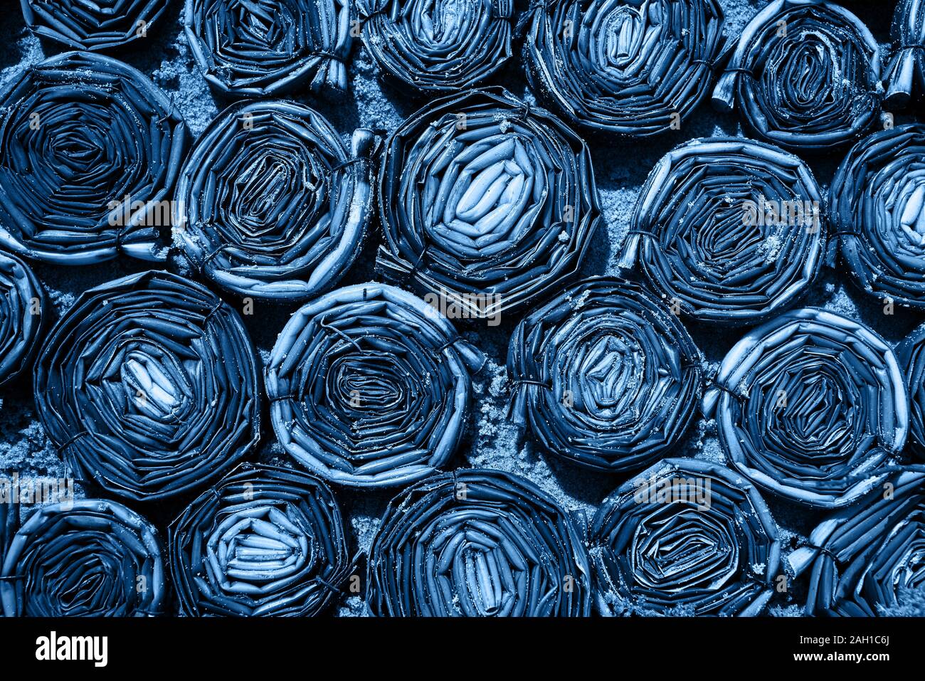 Abstract sfondo floreale colorato in blu. Colore dell'anno 2020 classico dai toni blu. Vista superiore Foto Stock