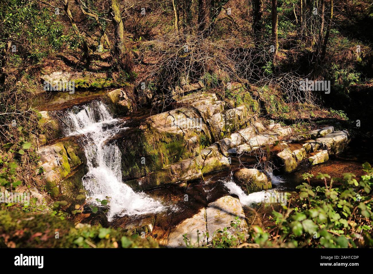 Rapids su acqua chiara creek. Foto Stock