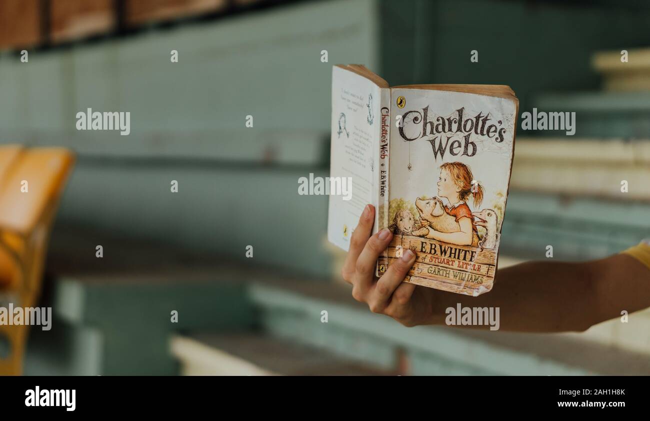 Qualcuno tenendo fuori un aperto con copertina morbida Charlotte libro Web con spazio di copia Foto Stock