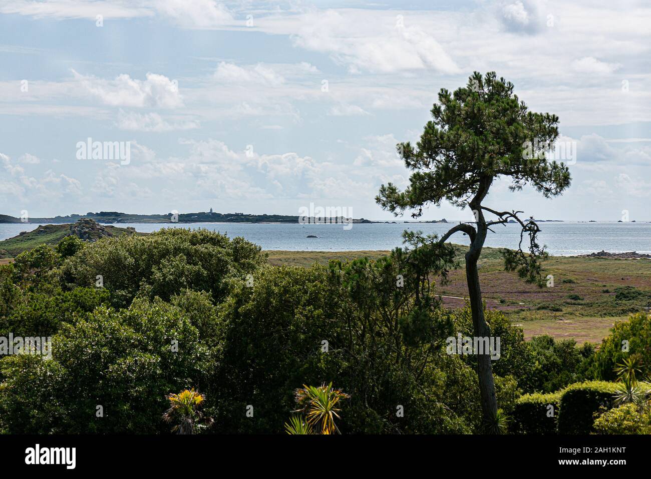 Vista dalla terrazza superiore in Tresco Abbey Gardens, Tresco, Isole di Scilly Foto Stock