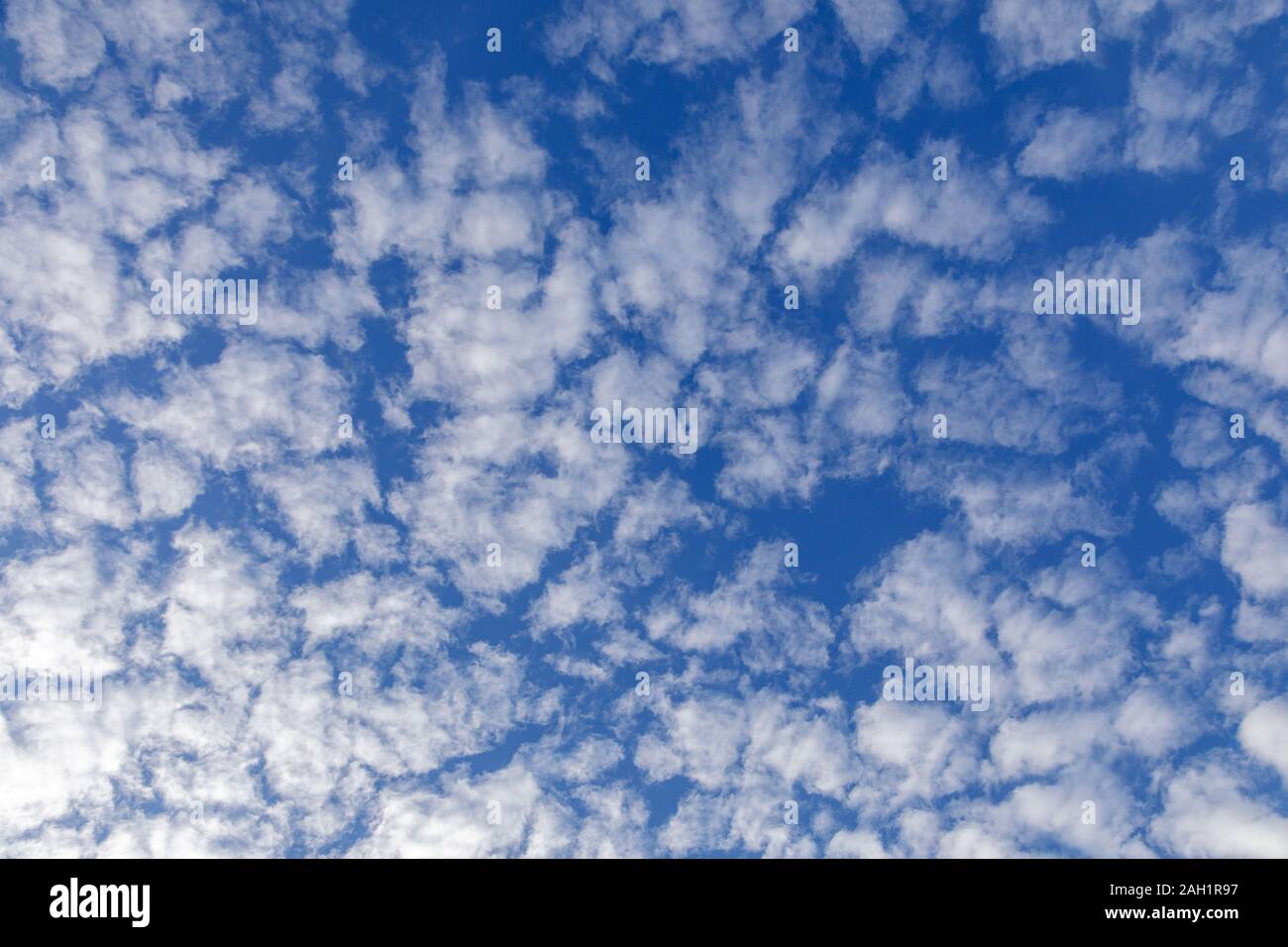 Cerca fino a vedere il white puffy nubi in un cielo blu Foto Stock