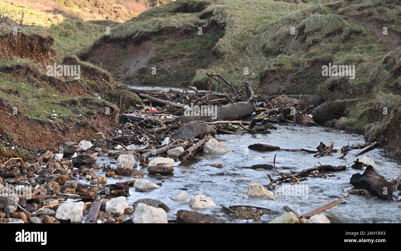 Di acqua dolce. Regno Unito. Il 23 dicembre 2019. Un piccolo fiume che scorre attraverso i rifiuti accumulati e gli alberi caduti in quanto rende la via verso il mare. Brook Chine. Nr di acqua dolce. Isola di Wight. Regno Unito. 23/12/2019. Credito Bowden Garry/Sport in immagini/Alamy Foto Stock