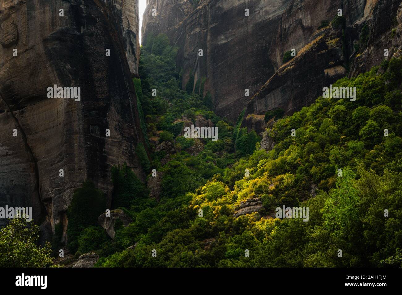 Il verde di alberi decidui e montagna in Grecia vista laterale in orizzontale Foto Stock