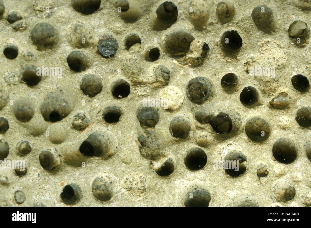 Dettaglio della superficie di una pietra a spiovente crea un naturale sfondo testurizzata Foto Stock