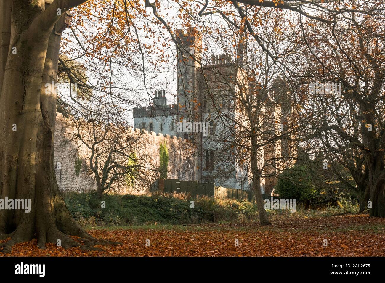 In autunno dà l'enorme Bute Park colori arancione. Sullo sfondo si vede il Castello di Cardiff, una delle principali attrazioni della capitale del Galles. Foto Stock