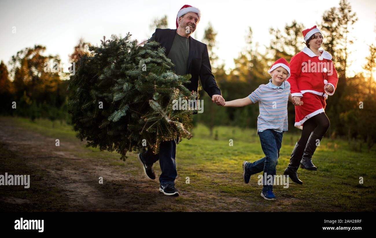 Felice gruppo di persone che porta un albero di Natale. Foto Stock