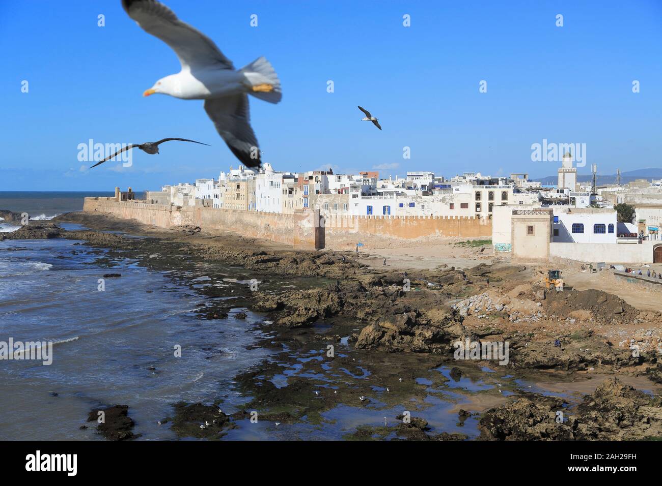 Antica città murata, bastioni, Essaouira, Sito Patrimonio Mondiale dell'UNESCO, il Marocco, la costa atlantica del nord Africa Foto Stock
